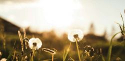 Foto di Aditya Vyas su Unsplash