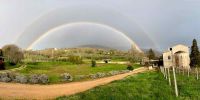 Ler mais: Slideshow in home page Assisi