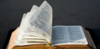 Lire la suite : Incontri e attività