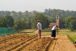 potager de Bose, juin 2006