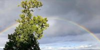 Lire la suite&nbsp;: Slideshow in home page Civitella