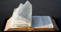Ler mais: Incontri e attività