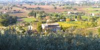 Ler mais: Lavoro ad Assisi