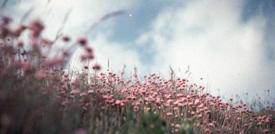 Foto di Annie Spratt su Unsplash