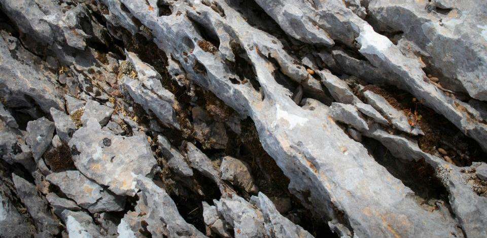 Foto di Savvas Kalimeris su Unsplash