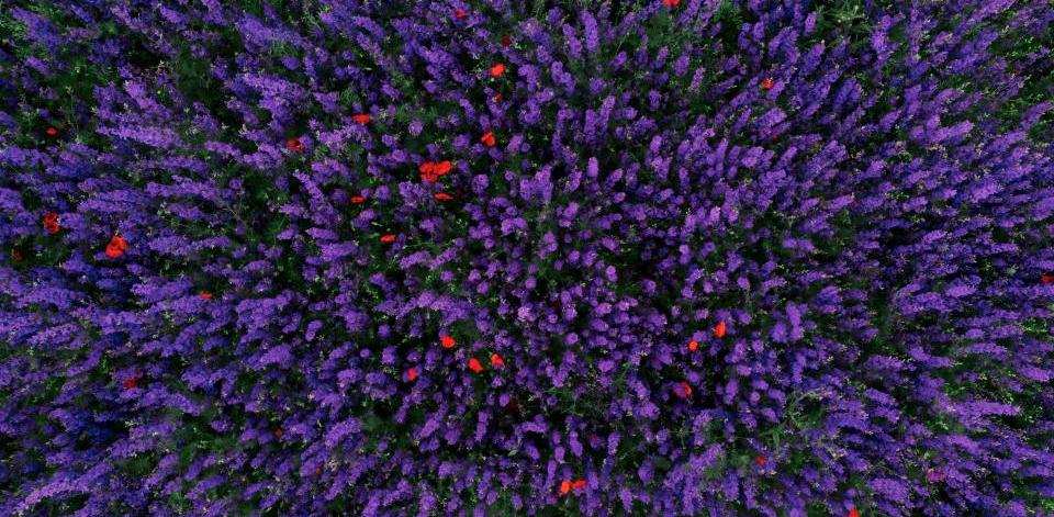 Foto di Artur Adilkhanian su Unsplash